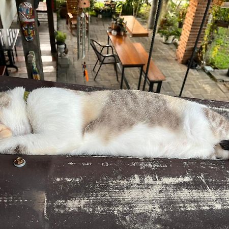 ครูหนูบ้านพัก แหลมงอบ Krunou Baanpak Τρατ Εξωτερικό φωτογραφία