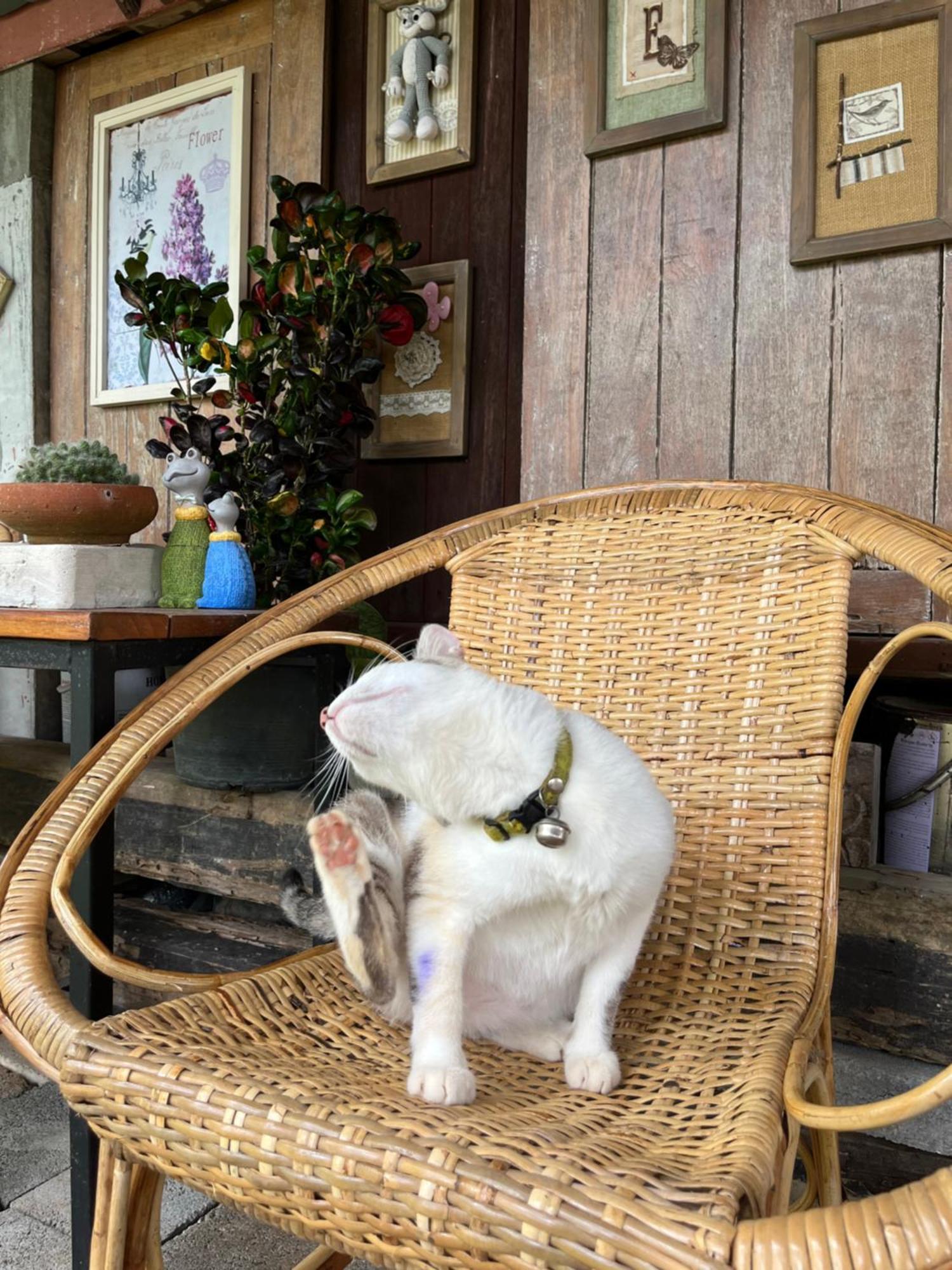 ครูหนูบ้านพัก แหลมงอบ Krunou Baanpak Τρατ Εξωτερικό φωτογραφία