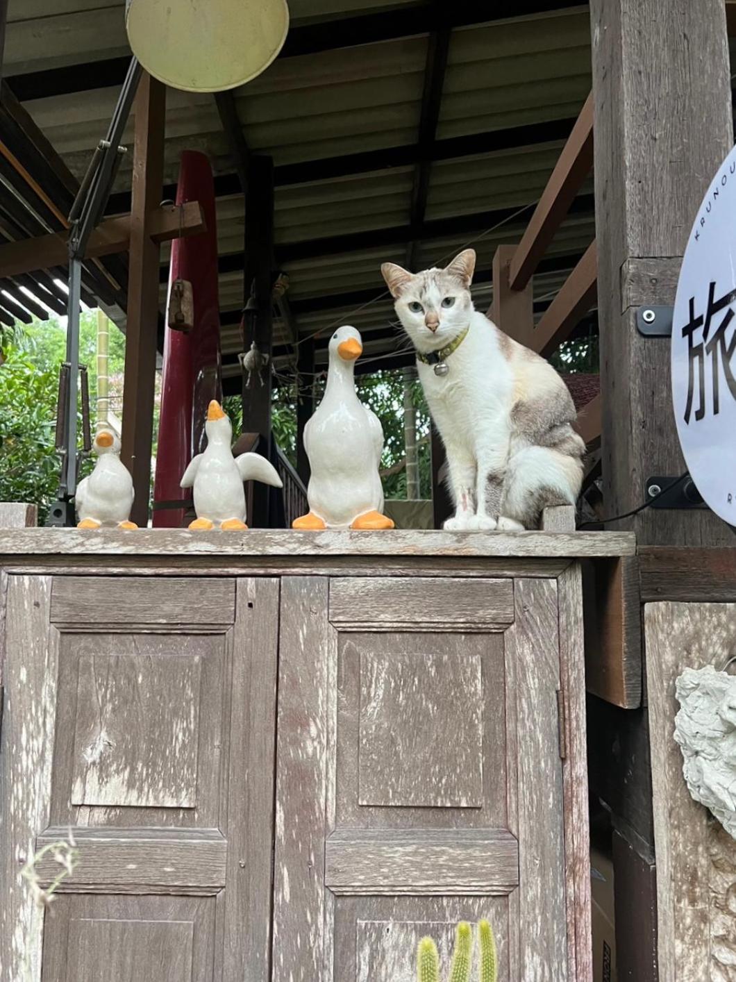 ครูหนูบ้านพัก แหลมงอบ Krunou Baanpak Τρατ Εξωτερικό φωτογραφία